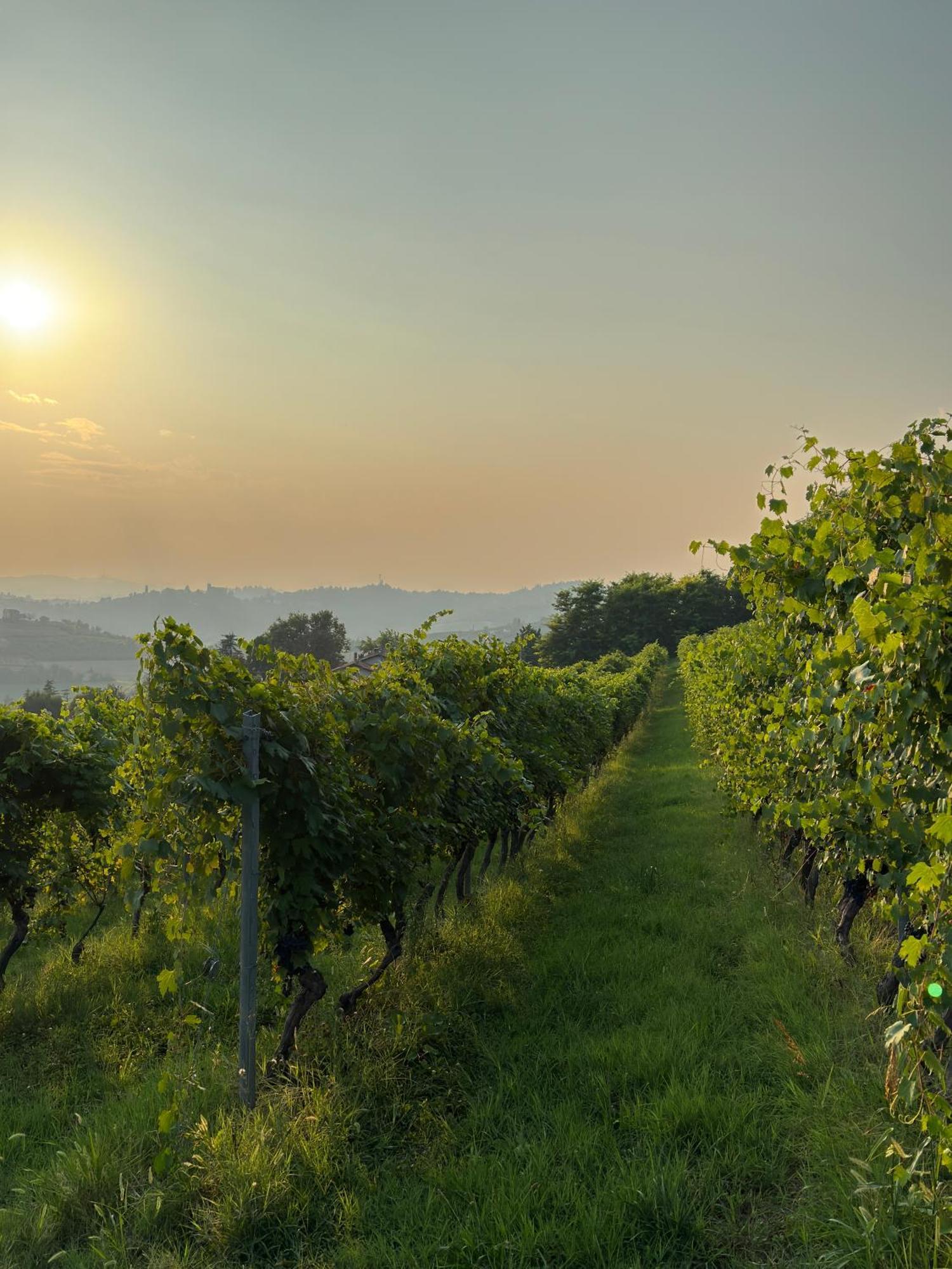 Relais Conac 1888 - Luxury B&B - Adults Only Castelnuovo Don Bosco ภายนอก รูปภาพ